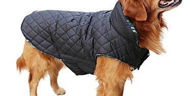 Ρούχα για σκύλους online pet shop pet-astero
