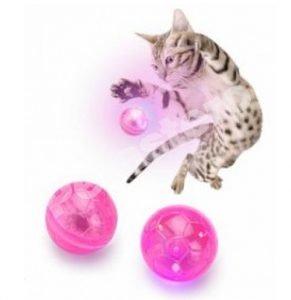 παιχνιδι γατας μπαλακια για γατες
