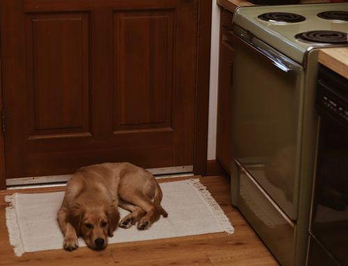 επιπλα-κουζινας-και-σκυλος